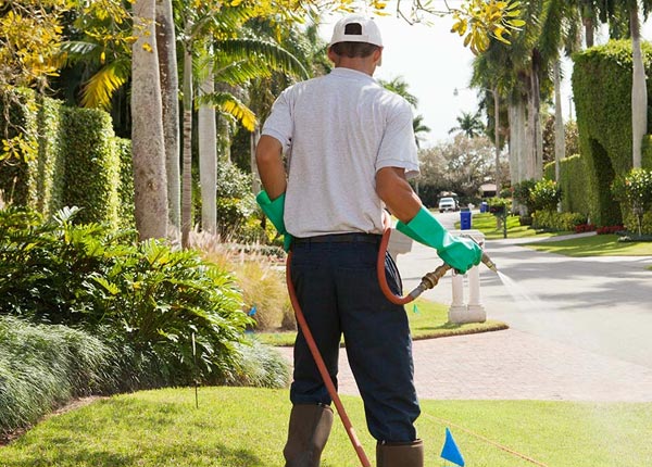 About Minneota MN Pest Control